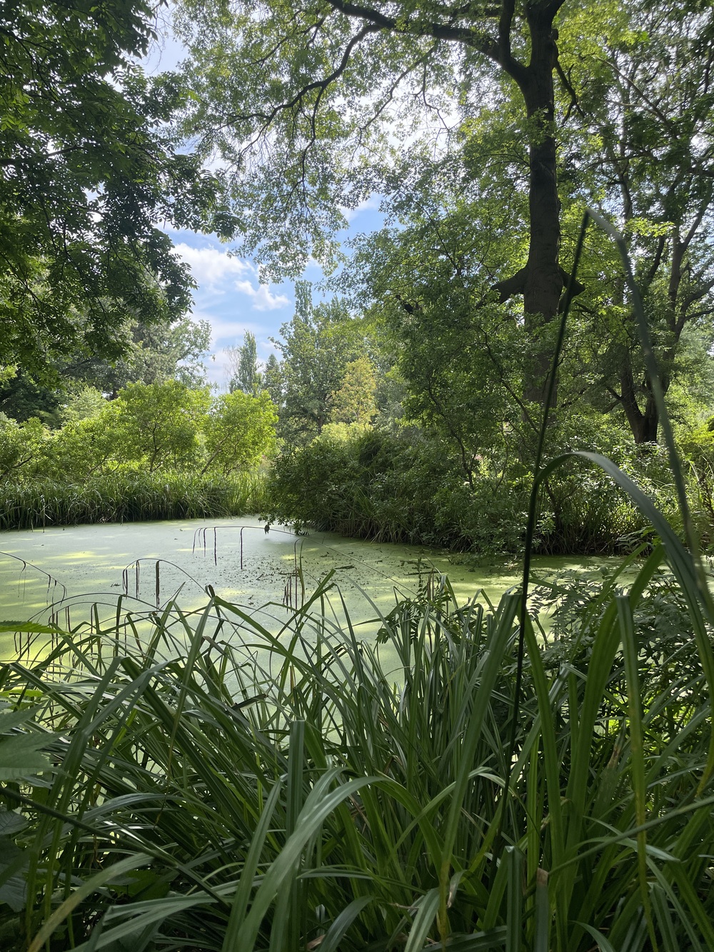 vrijeme u prirodi i slika o sebi