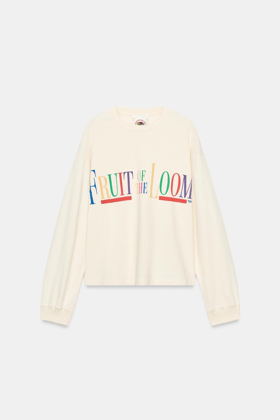 Zara x Fruit of the Loom
