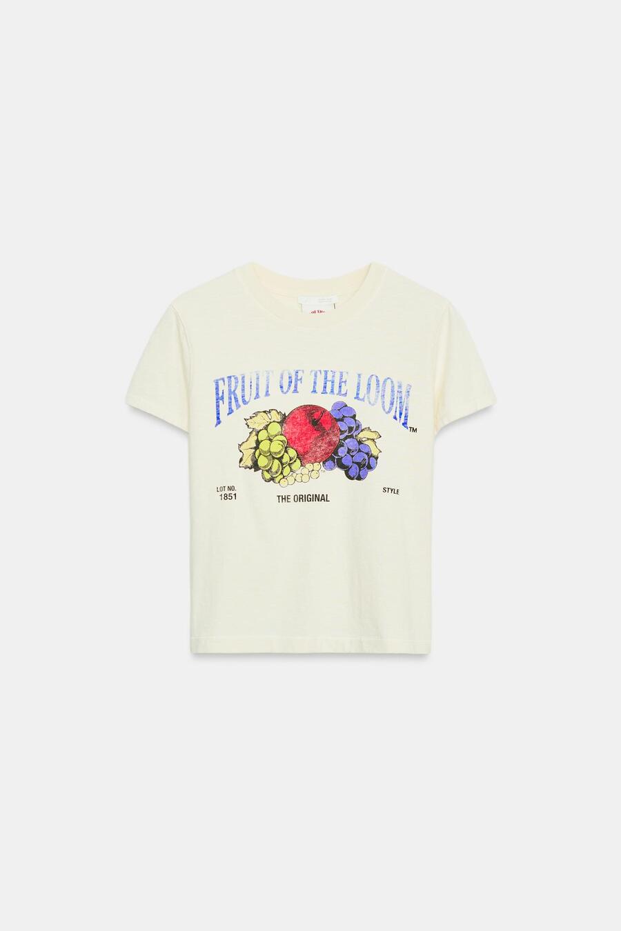 Zara x Fruit of the Loom