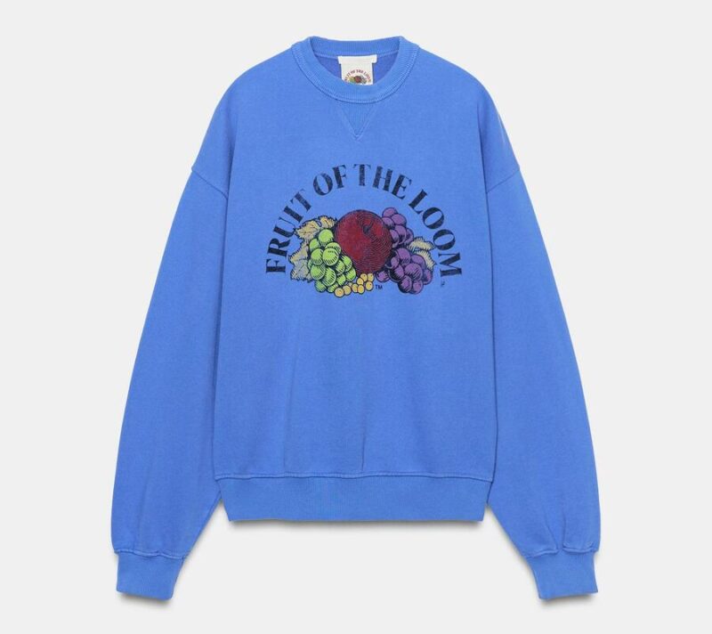 Zara x Fruit of the Loom