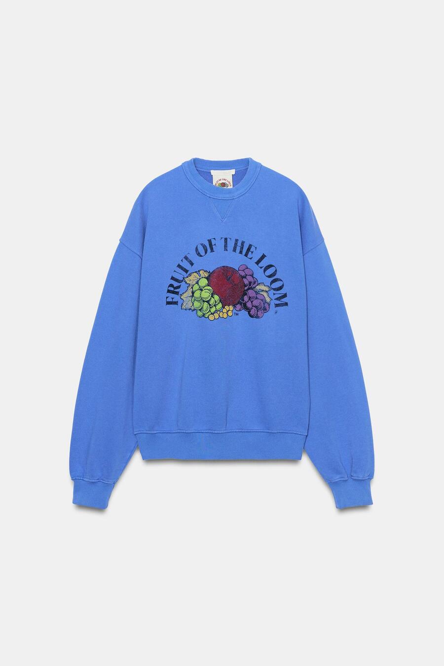 Zara x Fruit of the Loom