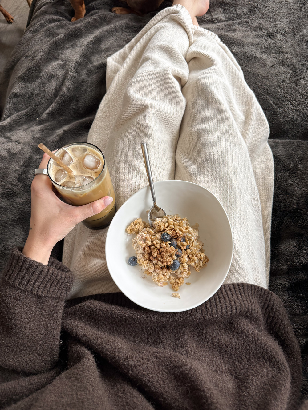 steel-cut oats ili grubo rezana zob