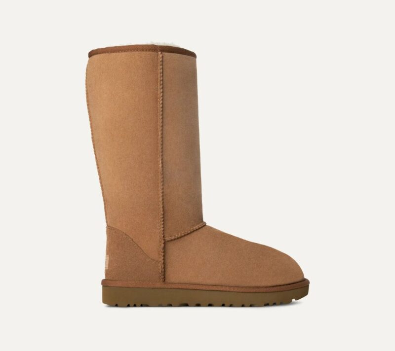 Ugg čizme za jesen i zimu 2026.